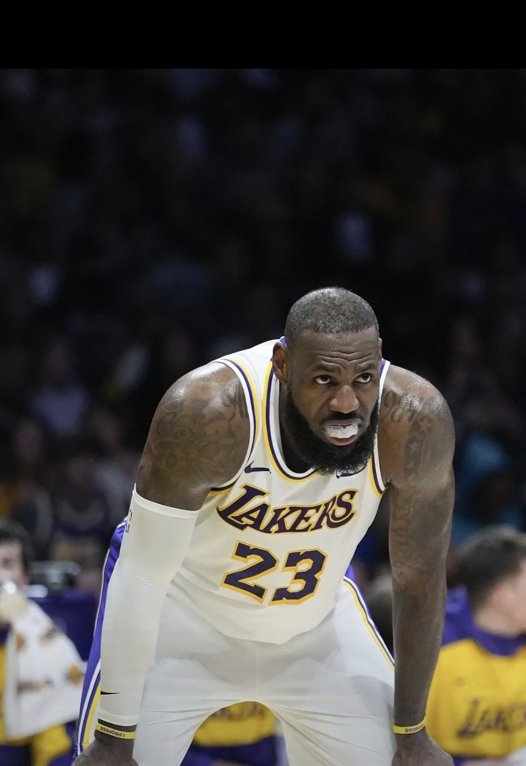 开云足球直播-骑士球员秀发挥抢眼，被誉为新一代核心的简单介绍