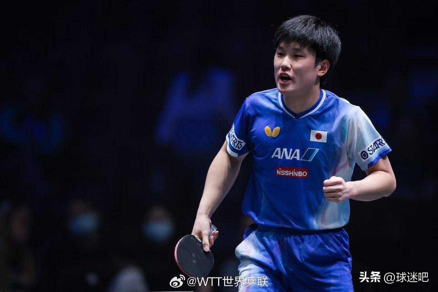 法国队横扫葡萄牙队,张本智和带队取胜的简单介绍 法国队横扫葡萄牙队,张本智和带队取胜的简单介绍