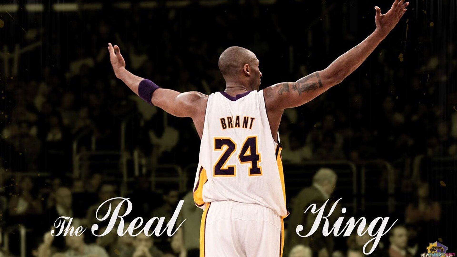 逆转与刷新,体育精神的双重奏鸣